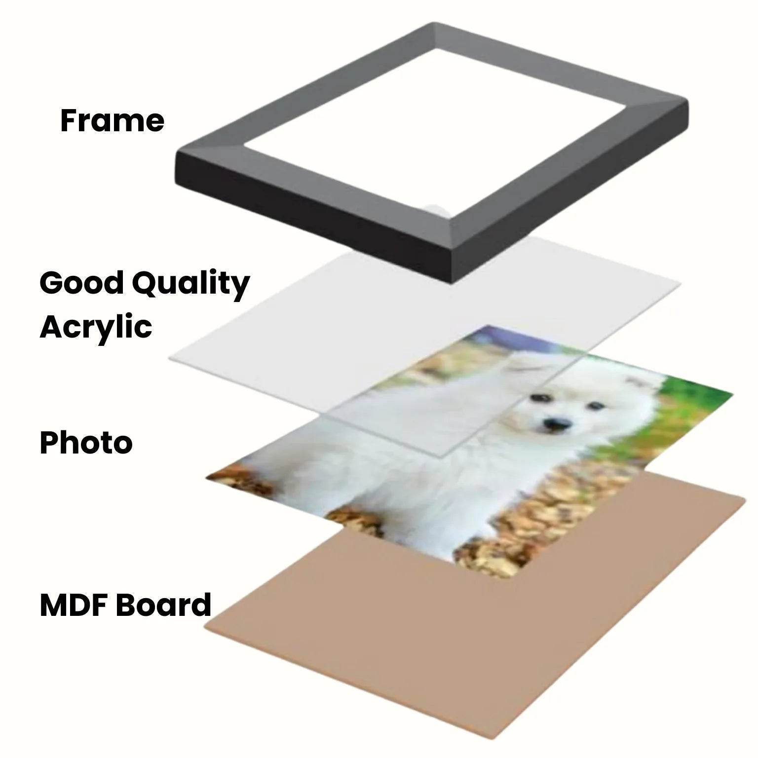 Frame_Details